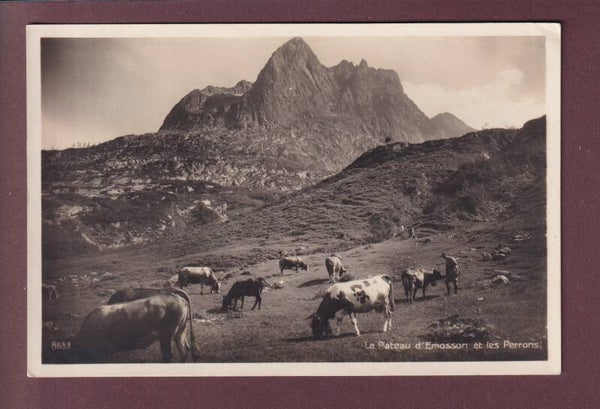 Plateau d'EMOSSON - Les Perrons - Vaches