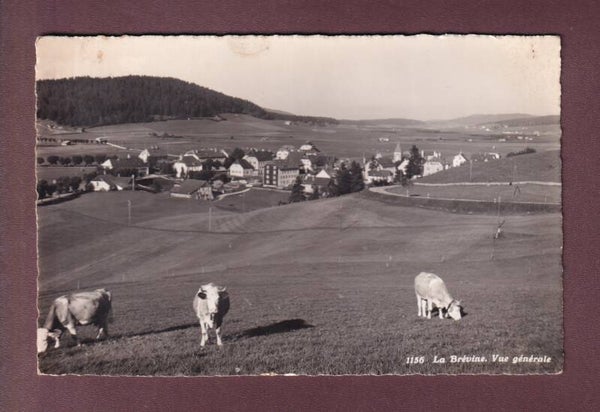 LA BREVINE - Vaches - 1942