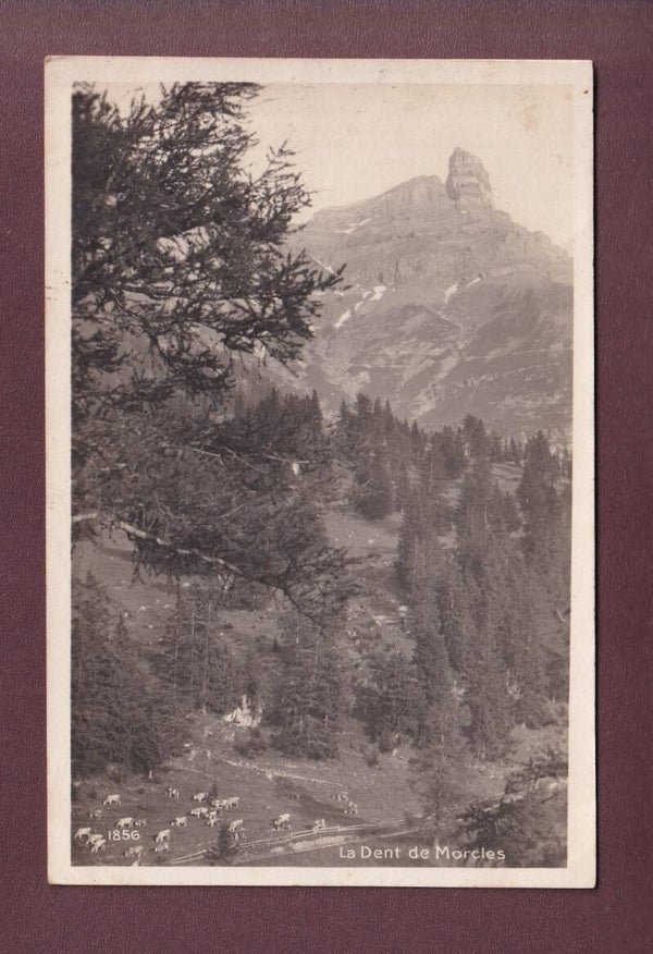 DENT DE MORCLES - Feldpost