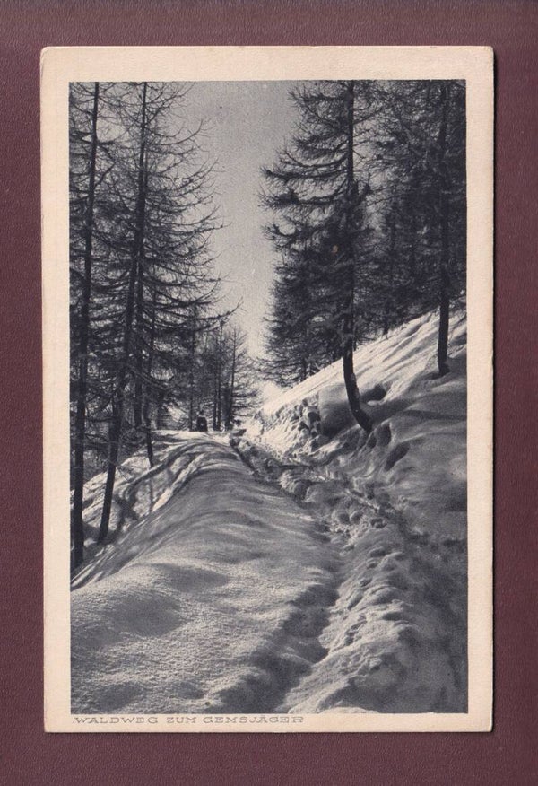 Waldweg zum GEMSJÄGER - 1917