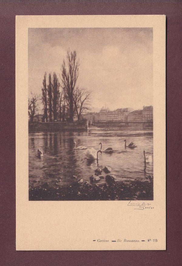 GENEVE - Île Rousseau - Cygnes