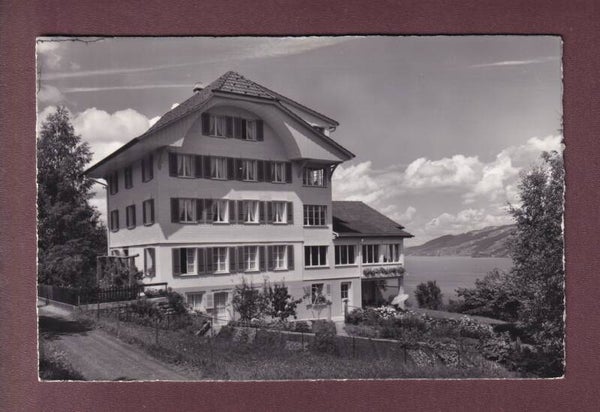 SUNNEHÜSI KRATTIGEN - 1965