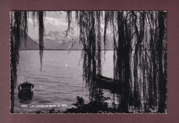 LAC LEMAN - Dents du Midi