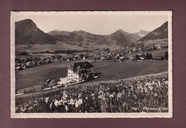 Une partie de CHÂTEAU D'OEX - Narcisses