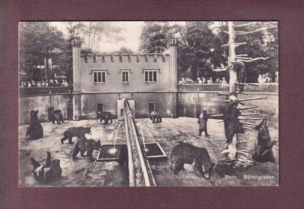 BERN - Bärengraben - 1925