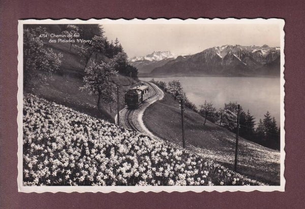 Chemin de fer des PLEÏADES - Narcisses - 1945