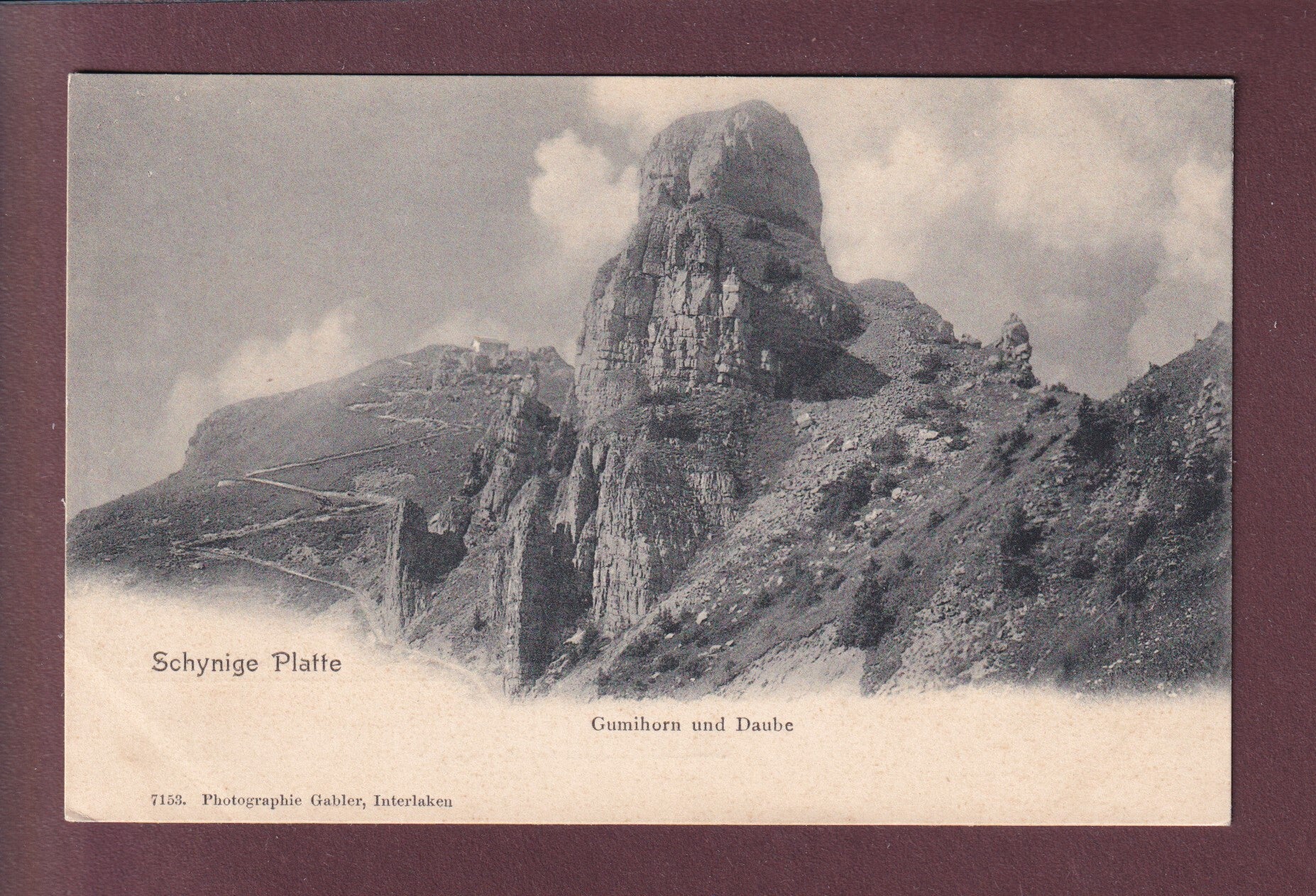 SCHYNIGE PLATTE - Gummihorn - Daube