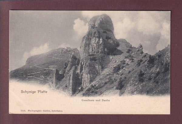 SCHYNIGE PLATTE - Gummihorn - Daube