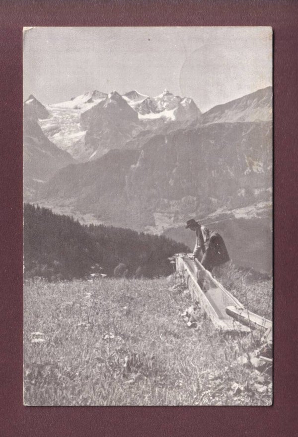 HASLIBERG - 1908 Tell mit verschobene Zahnung