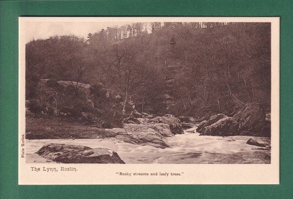 THE LYNN - Roslin