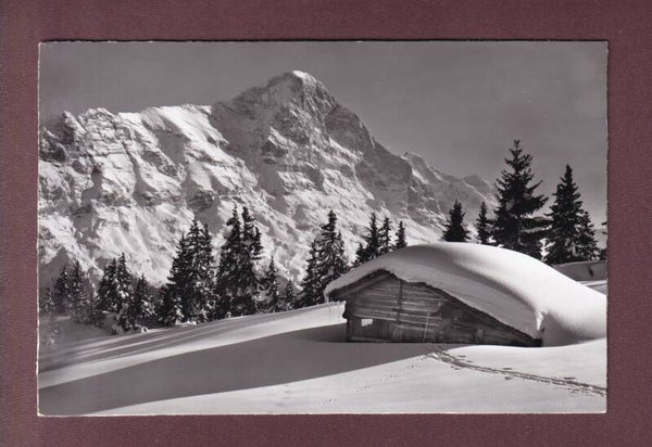 Bei GRINDELWALD - Eiger und Jungfrau