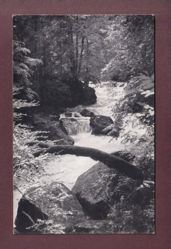 Dans les Gorges de l'AREUSE