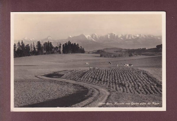 BERN - Aussicht vom Gurten gegen die Alpen - 1927
