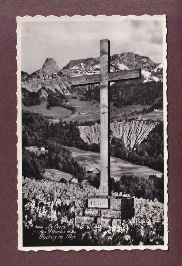 La Croix des PLEIADES - Narcisses - 1953