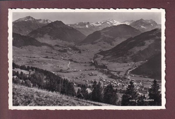 SAANEN - 1960