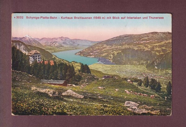 Kurhaus BREITLAUENEN - Blick auf Interlaken