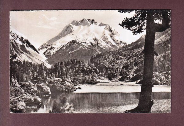 CAVLOCCIOSEE
