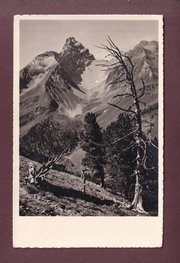 TINZENHORN - 1948