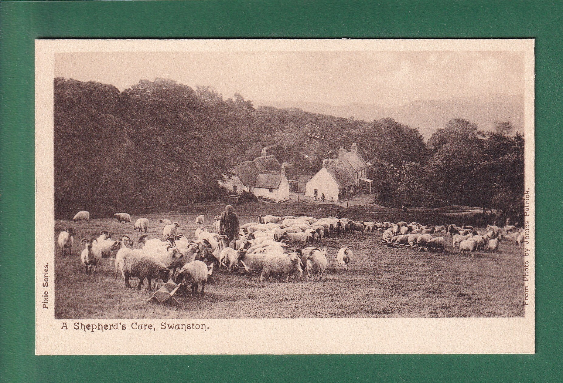 SWANSTON - A Shepherd's Care