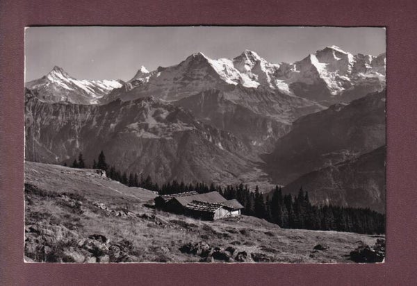 Beatenberg - ALP BURGFELD