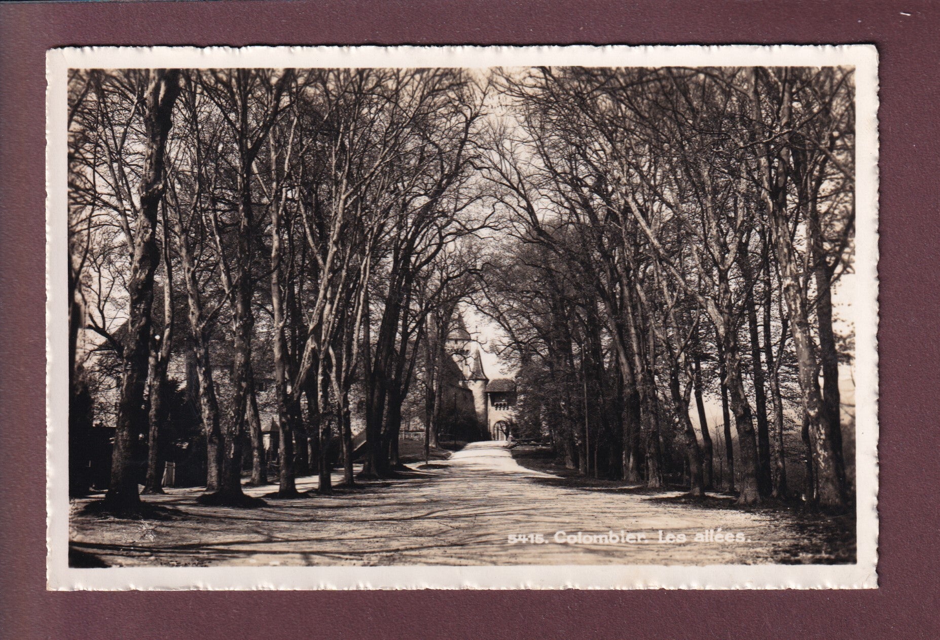 COLOMBIER - Les Allées - 1943