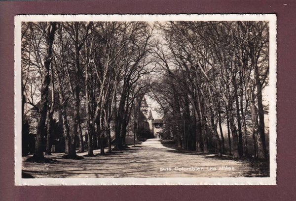 COLOMBIER - Les Allées - 1943