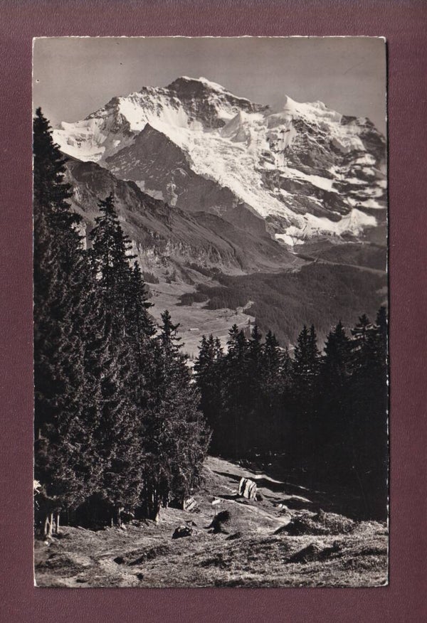 STEINENWALDWEG bei Wengen - Jungfrau - 1962