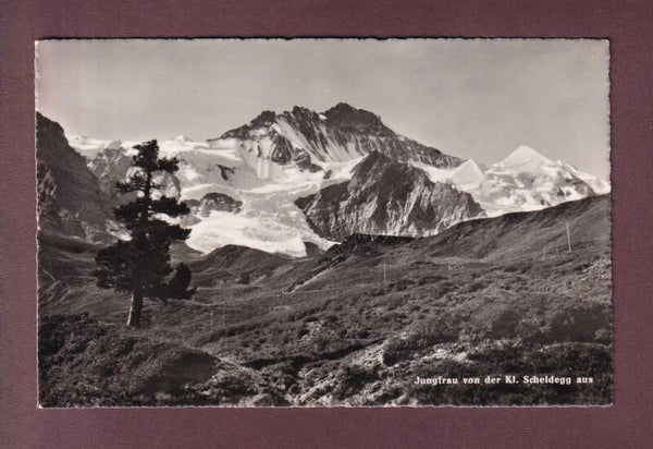 JUNGFRAU von der Kleine Scheidegg aus