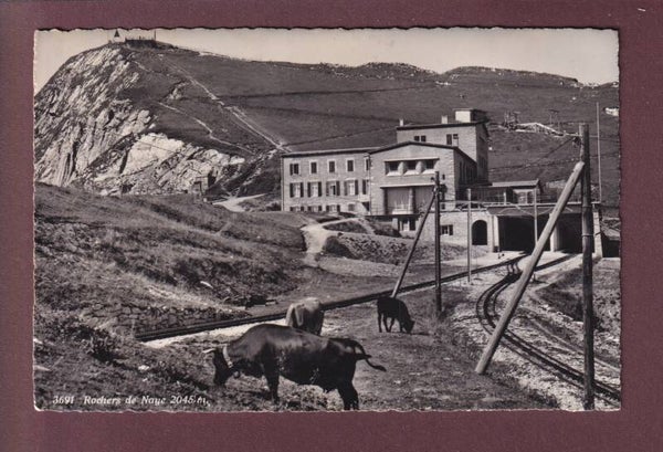 ROCHERS DE NAYE - Gare - Vaches