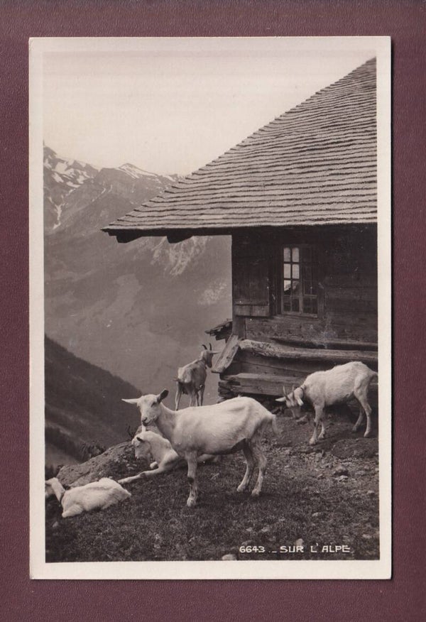 Sur l'Alpe - CHEVRES - 1933