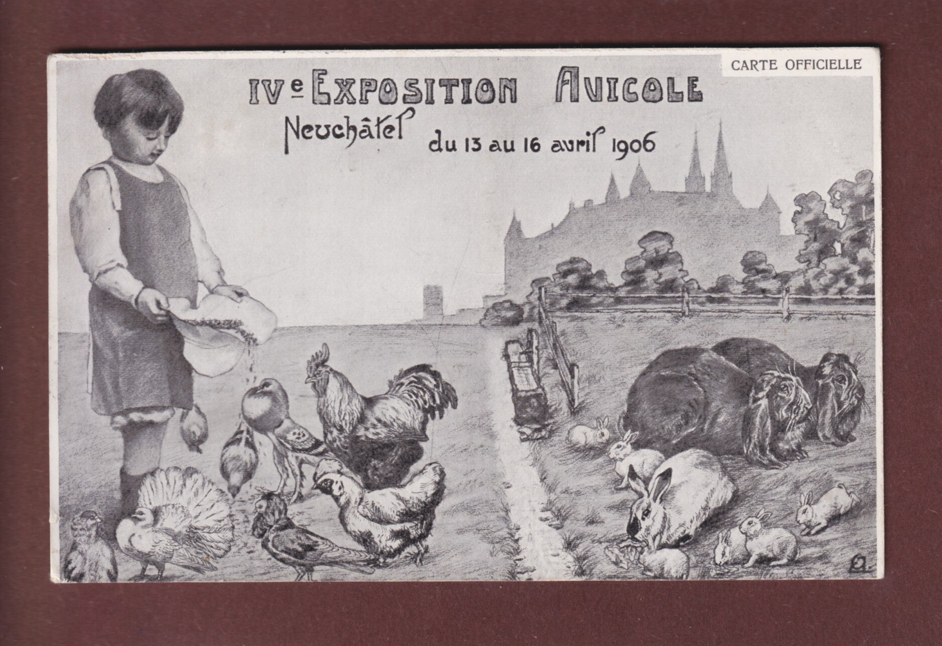 NEUCHÂTEL - Exposition Avicole 1906