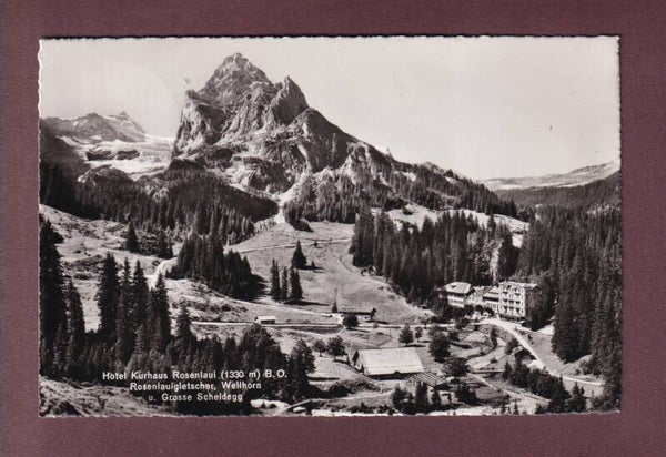 ROSENLAUI - Hotel - Gletscher - 1949
