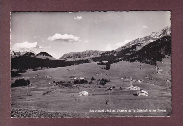 LES MOSSES - 1954
