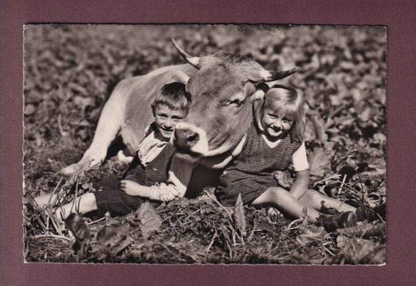 VACHE et ENFANTS - 1949