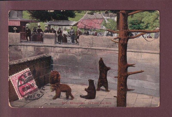 BERN - Bärengraben - 1910