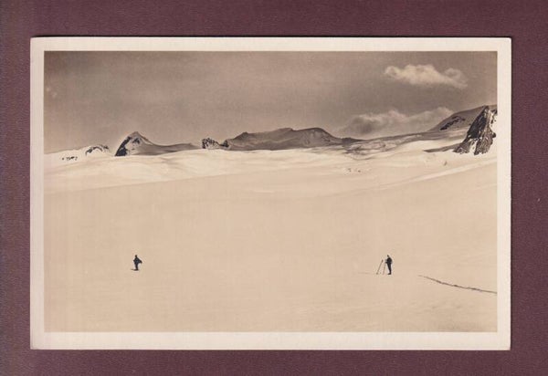 JUNGFRAUJOCH - Skifelder