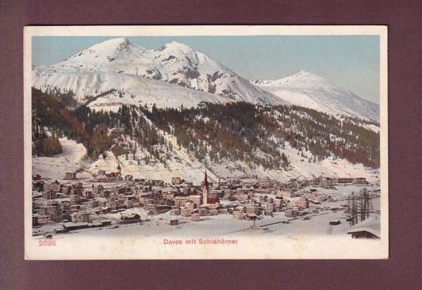 DAVOS - Schiahörner
