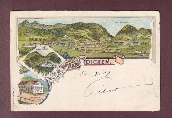 Gruss aus DICKEN - 1899 // kleiner Eckbug //