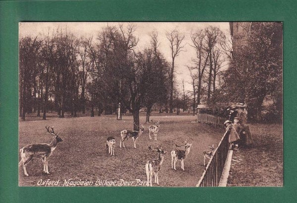 OXFORD - Magdalen College - Deer Park