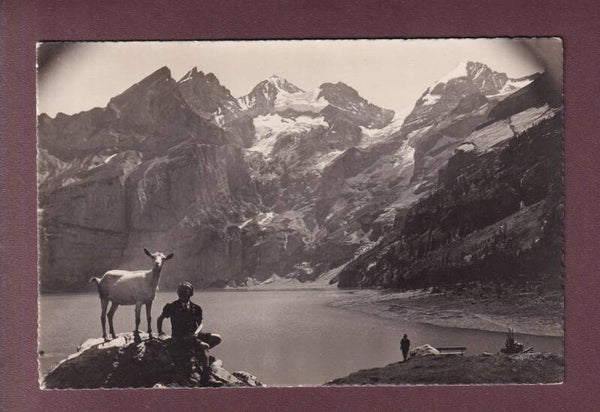 OESCHINENSEE - Ziege - Blümlisalp - E. Gyger