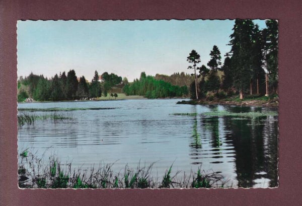 Etang de la GRUERE
