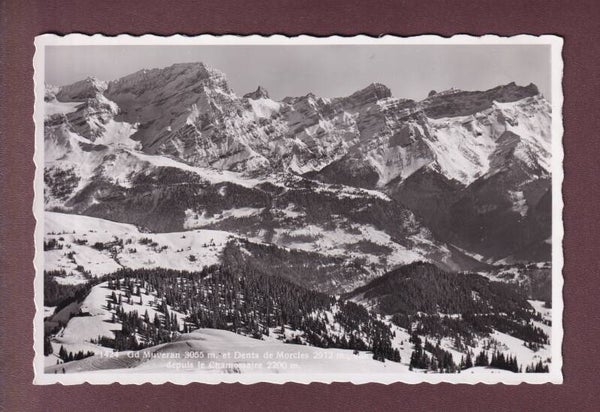 CHAMOSSAIRE - Grand Muveran et Dent de Morcles