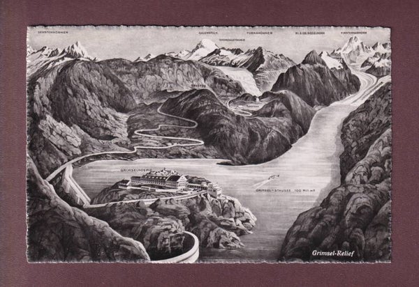 GRIMSEL-RELIEF - Vogelschau