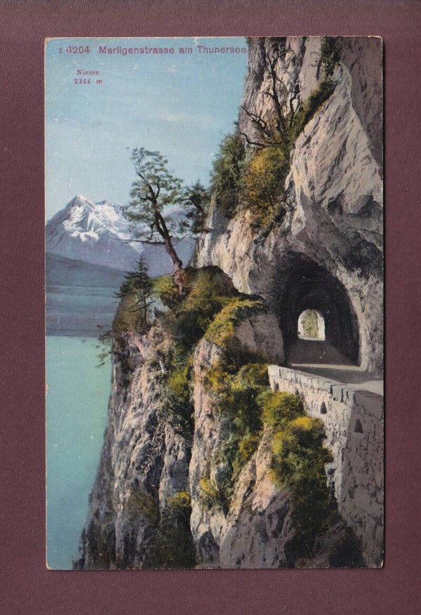 MERLIGENSTRASSE am Thunersee