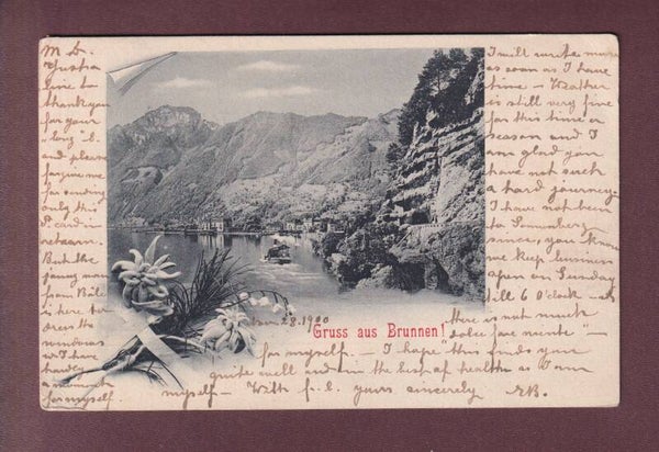 Gruss aus BRUNNEN - 1900 UPU 78