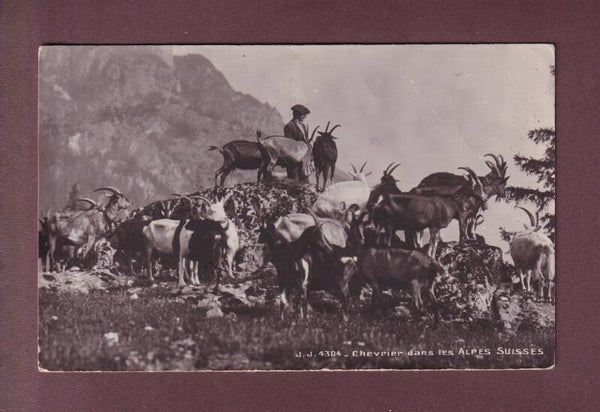 CHEVRES et Chevrier - Dans les Alpes - 1922