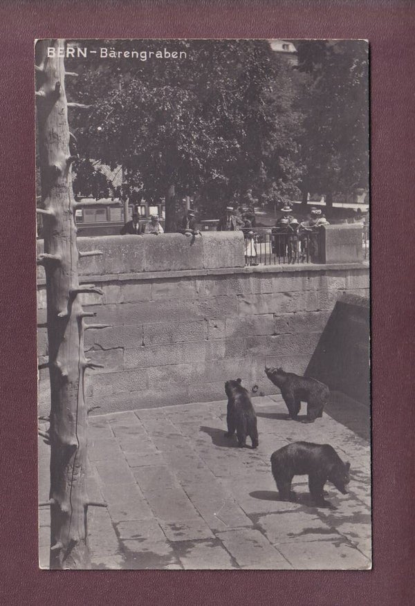 BERN - Bärengraben - 1926