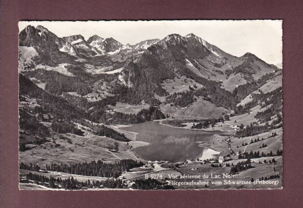 LAC NOIR - Vue aérienne / SCHWARZSEE - Fliegeraufnahme