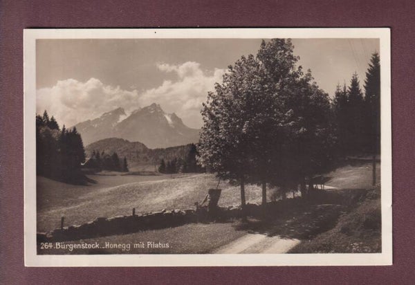BÜRGENSTOCK - Honegg - Pilatus