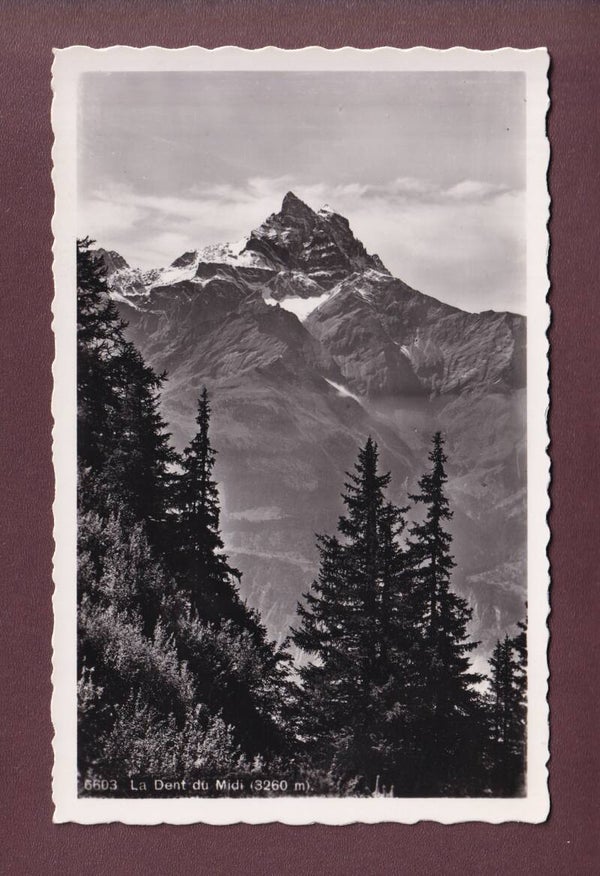 DENTS DU MIDI